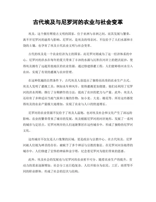 古代埃及与尼罗河的农业与社会变革