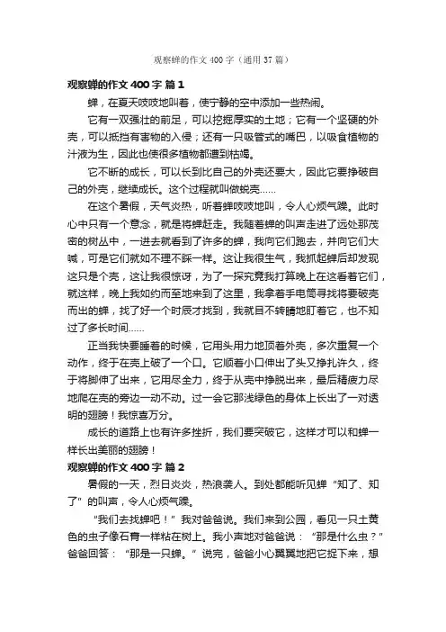 观察蝉的作文400字（通用37篇）