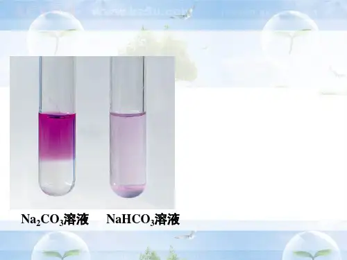优质课课件-盐类的水解