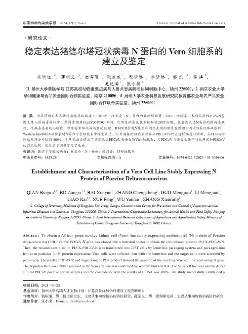 稳定表达猪德尔塔冠状病毒N_蛋白的Vero_细胞系的建立及鉴定
