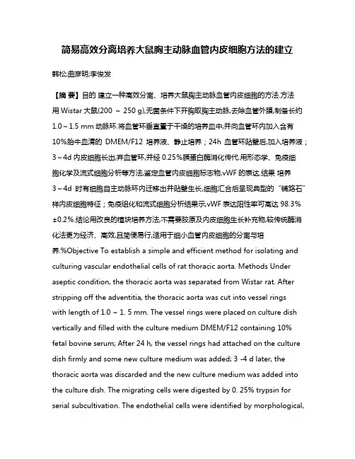 简易高效分离培养大鼠胸主动脉血管内皮细胞方法的建立