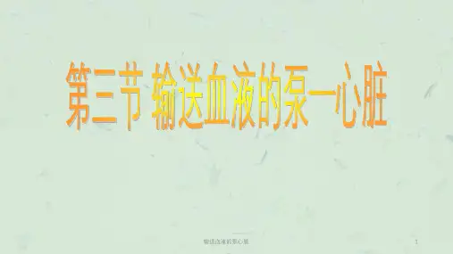 输送血液的泵心脏课件