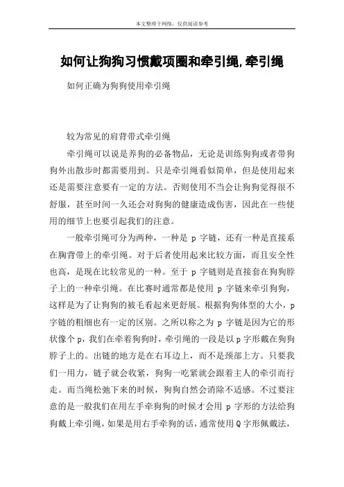 如何让狗狗习惯戴项圈和牵引绳,牵引绳