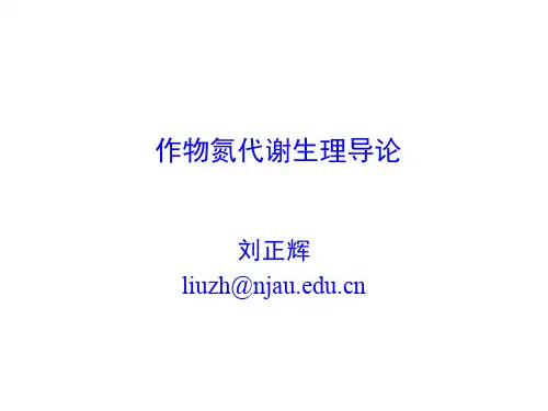 第7讲 作物氨基酸代谢生理