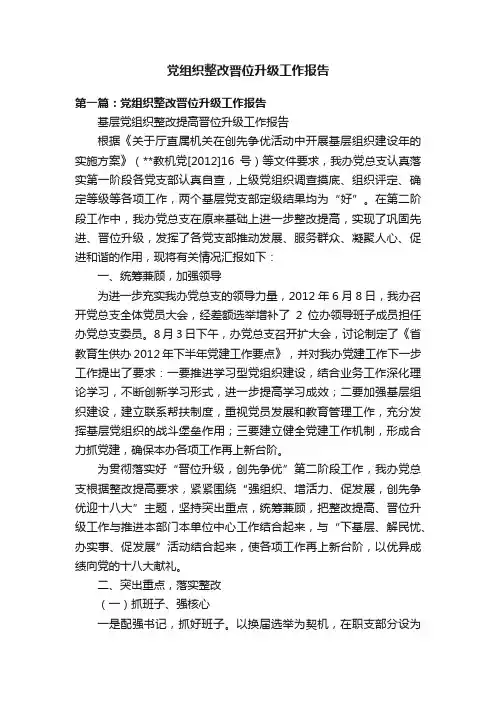 党组织整改晋位升级工作报告