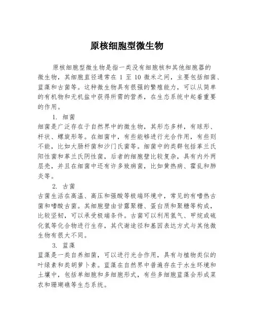 原核细胞型微生物