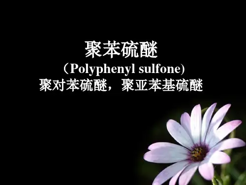 第三章 6 聚苯硫醚