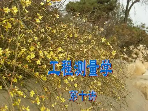 第10讲施工放样的方法和精度(2)
