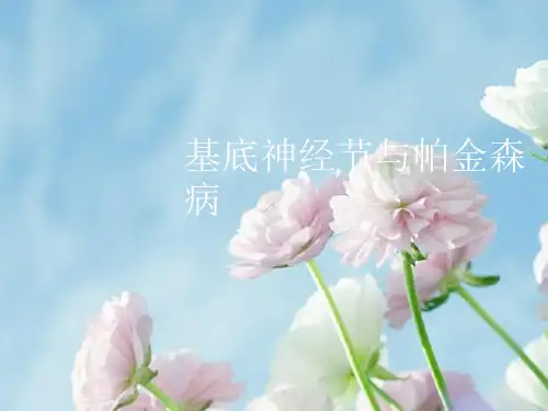 基底神经节与帕金森病