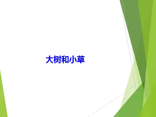 小学三年级上科学《大树和小草》公开课课件PPT9