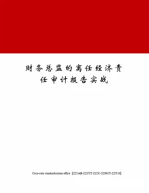 财务总监的离任经济责任审计报告实战