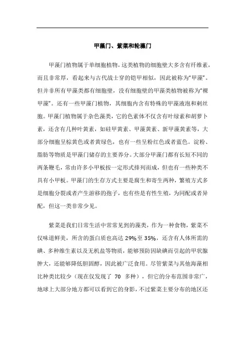 甲藻门介绍