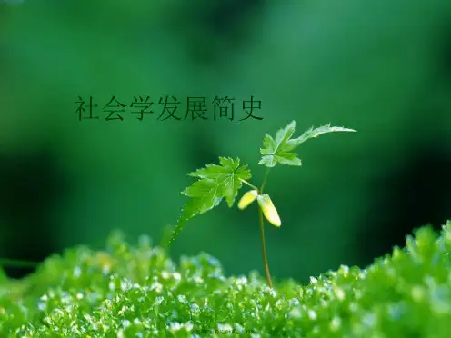 社会学发展简史