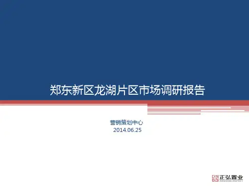 2014年郑东新区龙湖片区调研报告60p