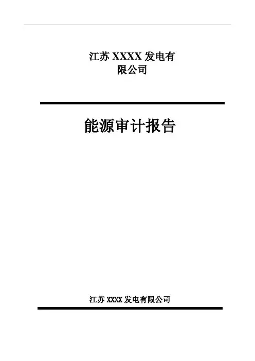 江苏XX发电有限公司年度能源审计报告 精品