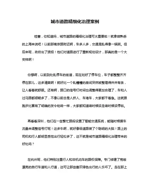 城市道路精细化治理案例