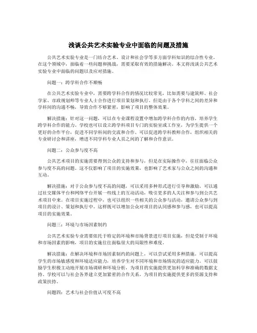 浅谈公共艺术实验专业中面临的问题及措施