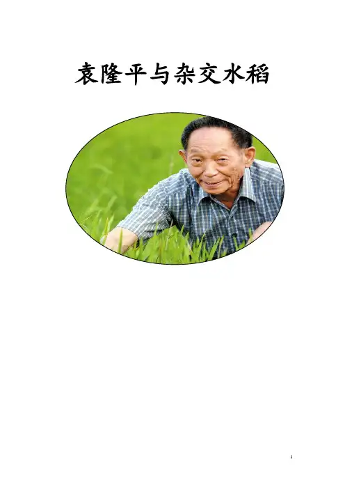 《科学家的故事——袁隆平与杂交水稻》教学设计