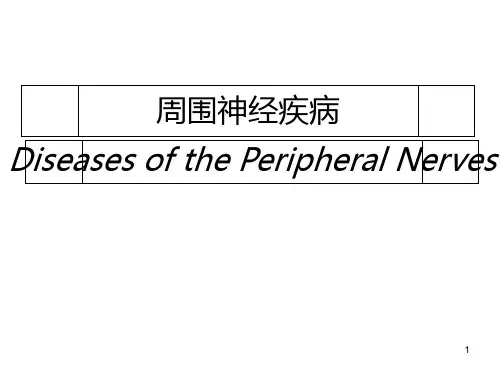 周围神经疾病最新PPT课件