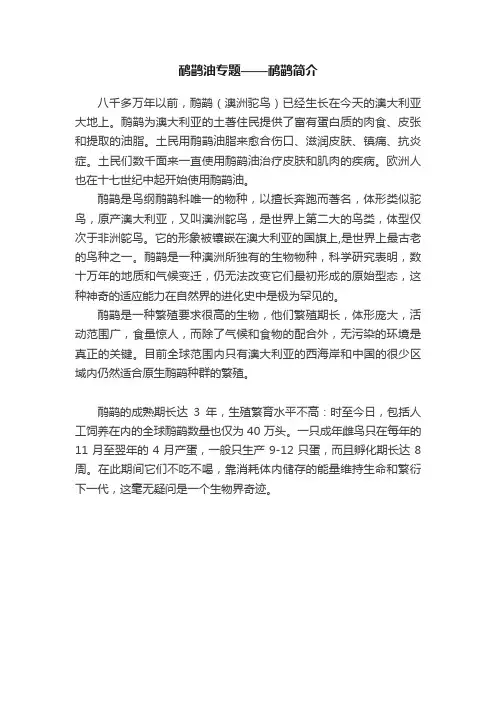鸸鹋油专题——鸸鹋简介
