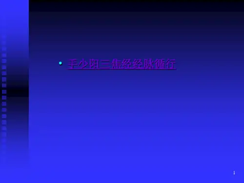 2.10.2第二章第十节手少阳三焦经