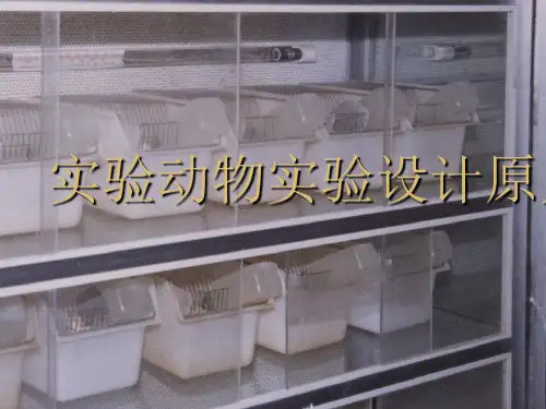 动物实验设计原则