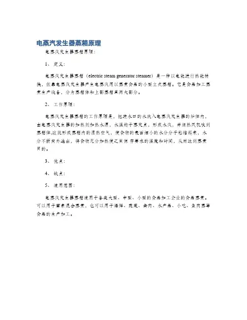 电蒸汽发生器蒸箱原理