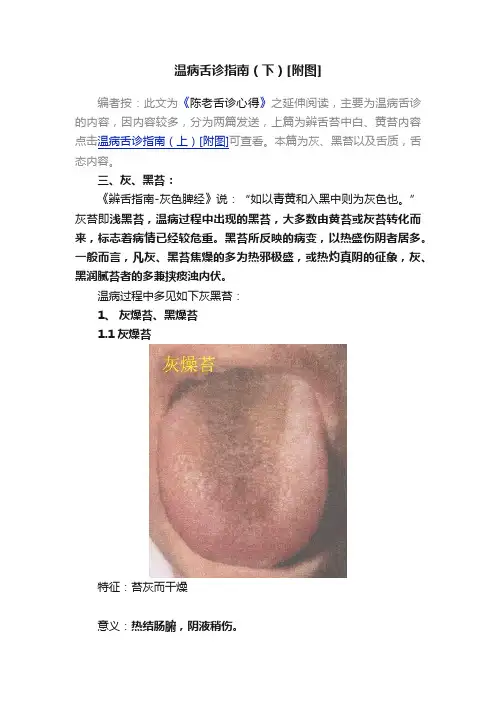 温病舌诊指南（下）[附图]