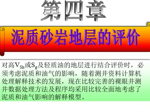 测井解释砂泥岩解释砂泥岩解释模型
