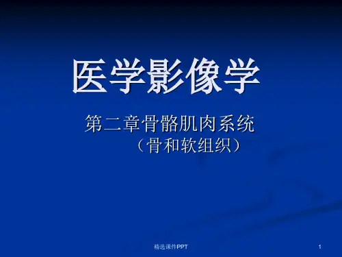 骨关节医学影像学PPT课件