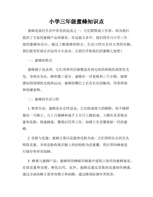 小学三年级蜜蜂知识点