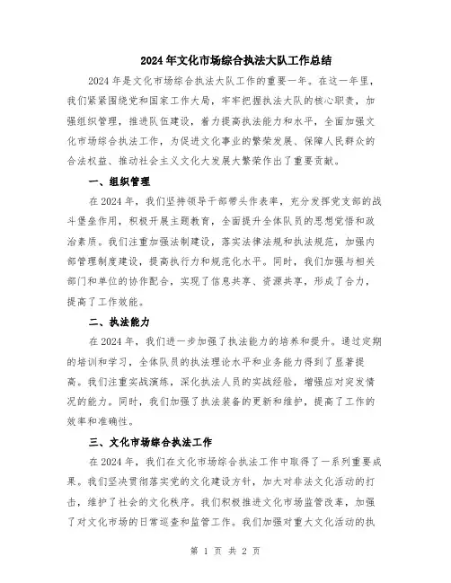 2024年文化市场综合执法大队工作总结