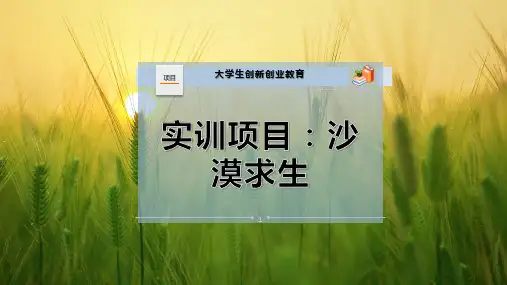 实训项目：沙漠求生