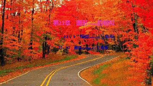 九年级数学上册 第23章 图形的相似23.3 相似三角形 1相似三角形作业课件