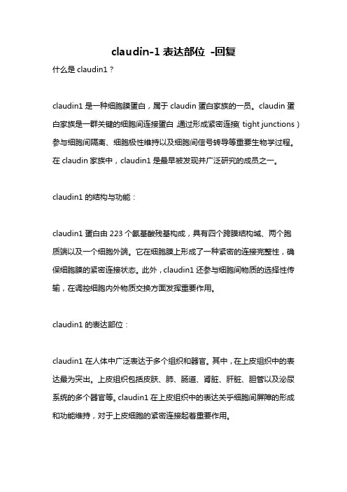 claudin-1表达部位 -回复