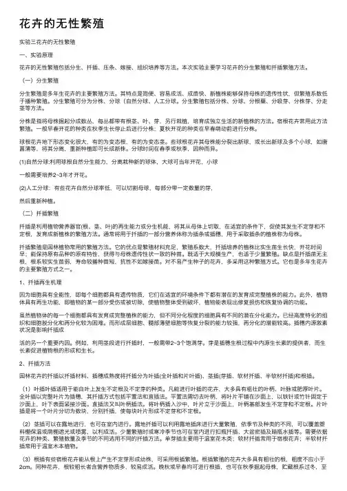 花卉的无性繁殖