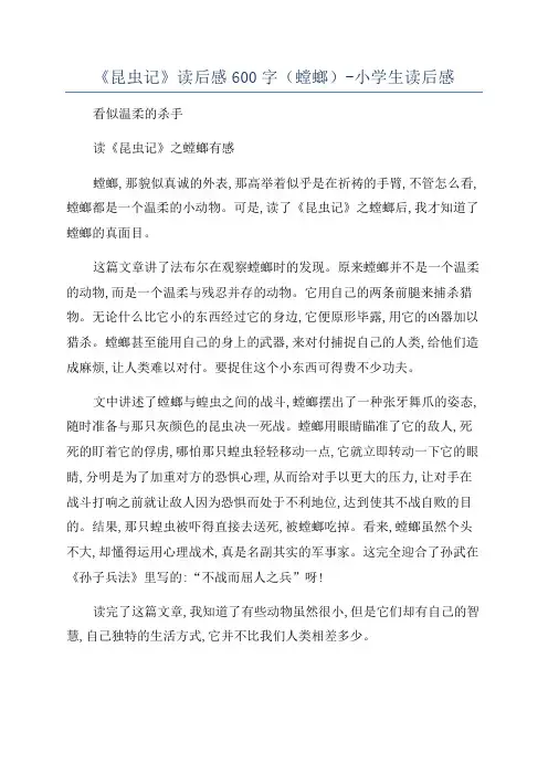 《昆虫记》读后感600字(螳螂)-小学生读后感