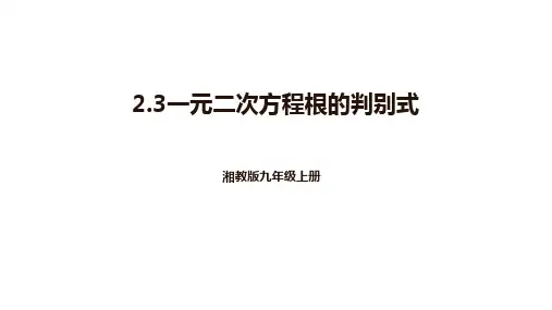2.3一元二次方程根的判别式++课件 2024—2025学年湘教版数学九年级上册