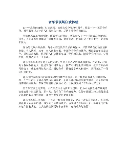 音乐节现场狂欢体验