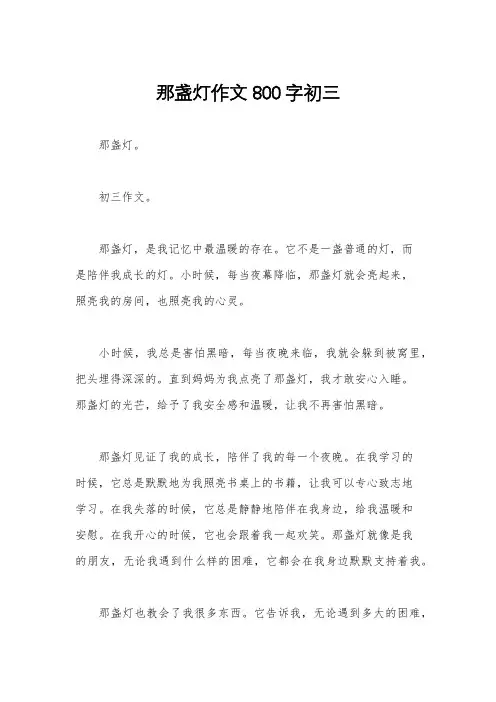 那盏灯作文800字初三