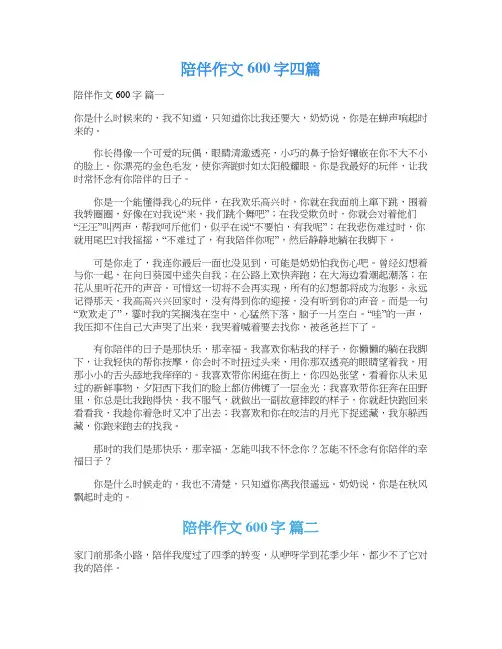  陪伴作文600字四篇