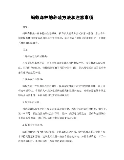 蚂蚁森林的养殖方法和注意事项