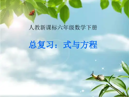 《总复习-式与方程》人教版六年级数学下册ppt课件(3篇)