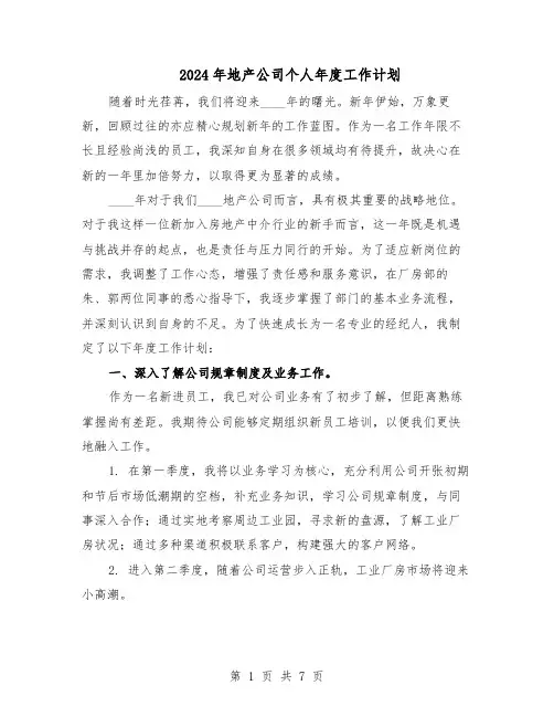 2024年地产公司个人年度工作计划（4篇）