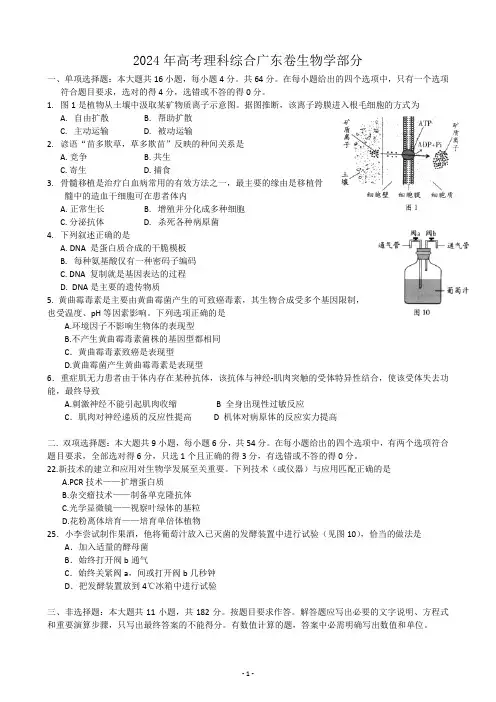 2024-2025广东高考生物