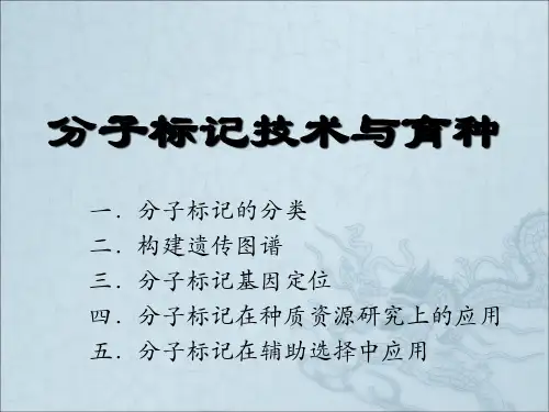 分子标记讲课