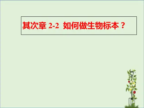 2-2如何做生物标本讲解