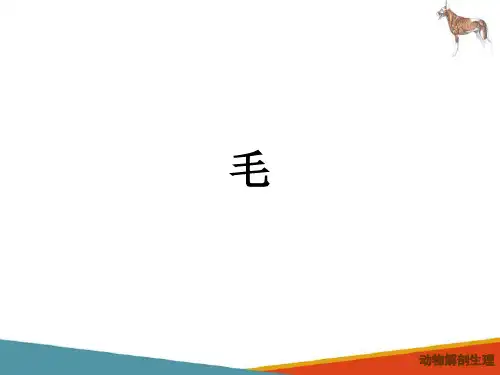 动物被皮系统—皮肤衍生物(动物解剖生理课件)