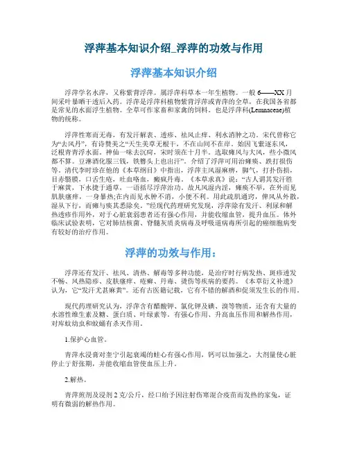 浮萍基本知识介绍