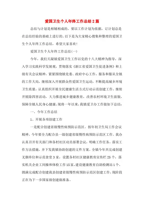 2019年爱国卫生个人年终工作总结2篇